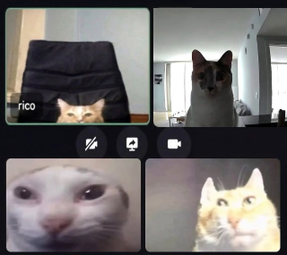 Staff Meetings Discord sticker