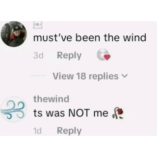 Ts was not me wind Discord sticker