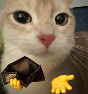 paynow Discord sticker