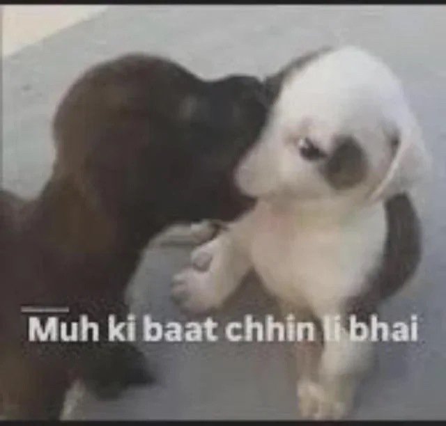 Muhkibaat Discord sticker
