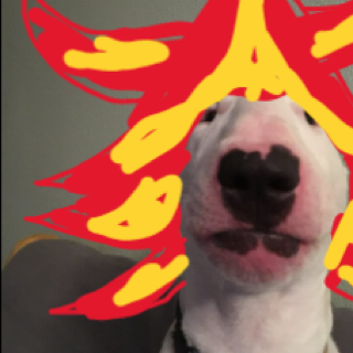 Mega Pyroar Discord sticker