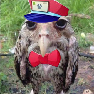 Owlbert Discord sticker