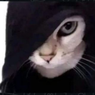 You won't get it Discord sticker
