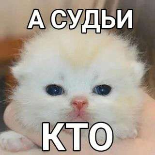 А судьи кто Discord sticker