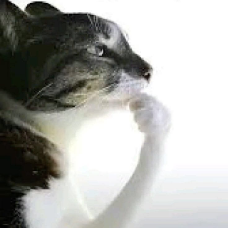 Pensativo