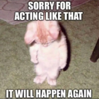 Not_sorry