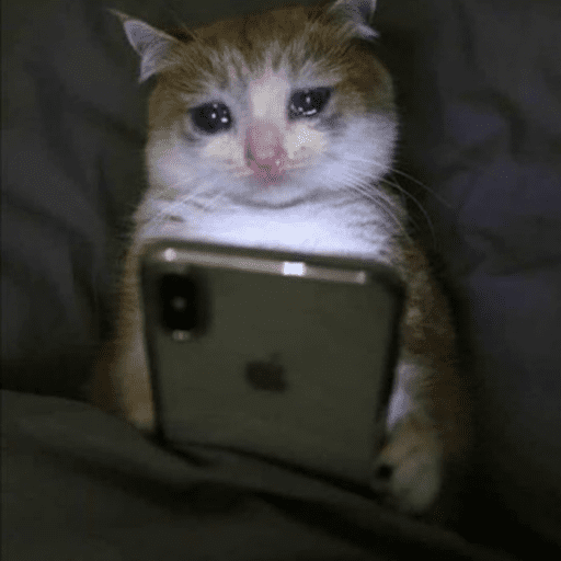 sad cat Discord sticker