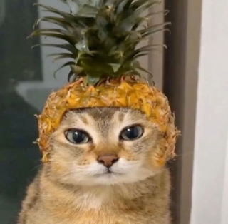 pineapple  Discord sticker