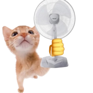 catfan Discord sticker