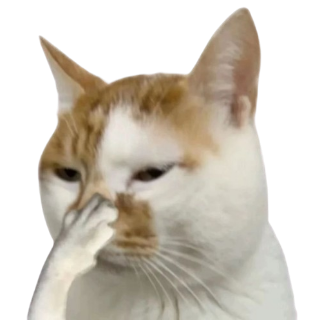 catstinky Discord sticker