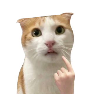 Catthink Discord sticker
