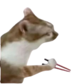 catchop Discord sticker