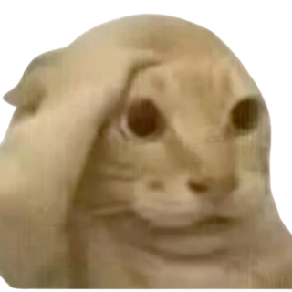 catstunned Discord sticker