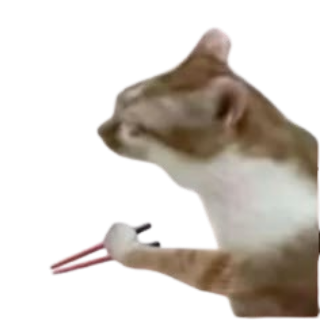 chopcat Discord sticker