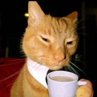 catcoffee  Discord sticker
