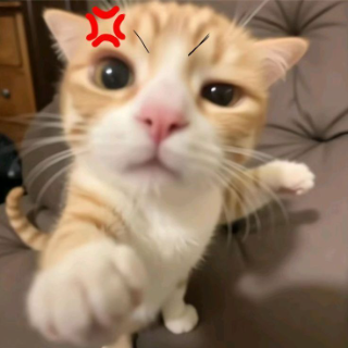 catFight Discord sticker