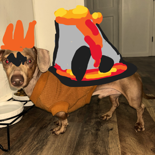 Mega Camerupt  Discord sticker