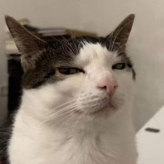 Sus Discord sticker