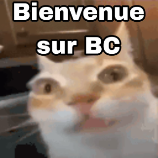 Bienvenue sur BC