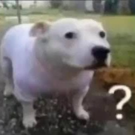 Uh ?