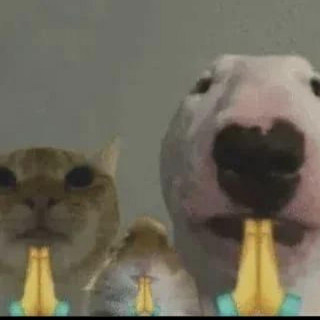 we pray for gay bruce Discord sticker