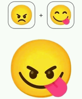wleowleo Discord sticker
