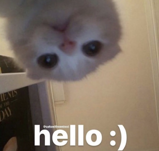 Hello :) Discord sticker
