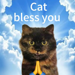 cat bless you Discord sticker