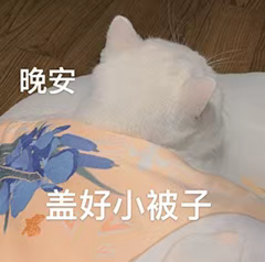 cat goodnight Discord sticker