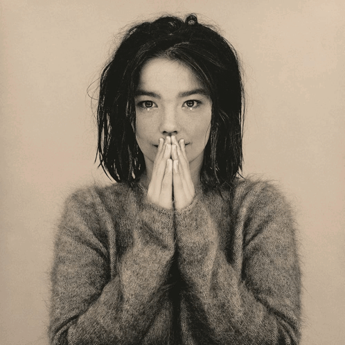 bjork Discord sticker