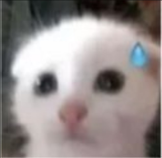 cat nervous Discord sticker