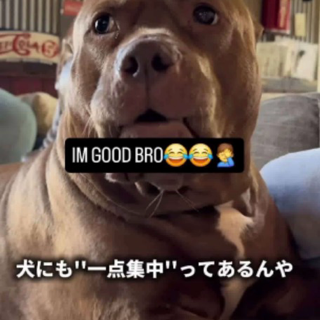 im good bwo Discord sticker