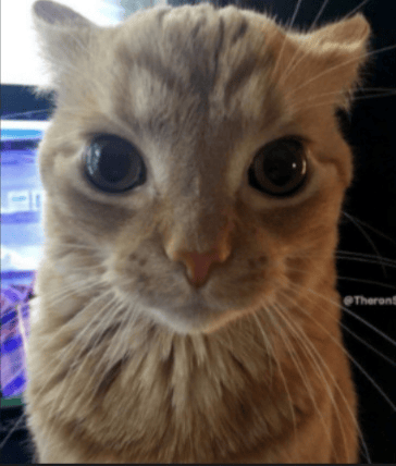 Thousand Yard Stare Discord sticker