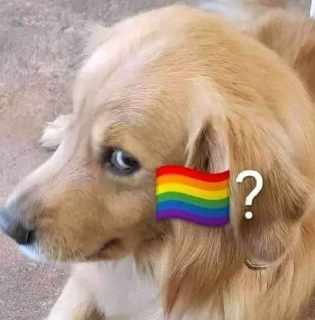 Eri gay? || .gg/amiguitos Discord sticker