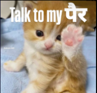 Talk to my पैर Discord sticker