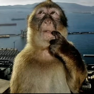Monkey_think Discord sticker