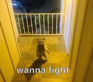 wanna_fight__ Discord sticker