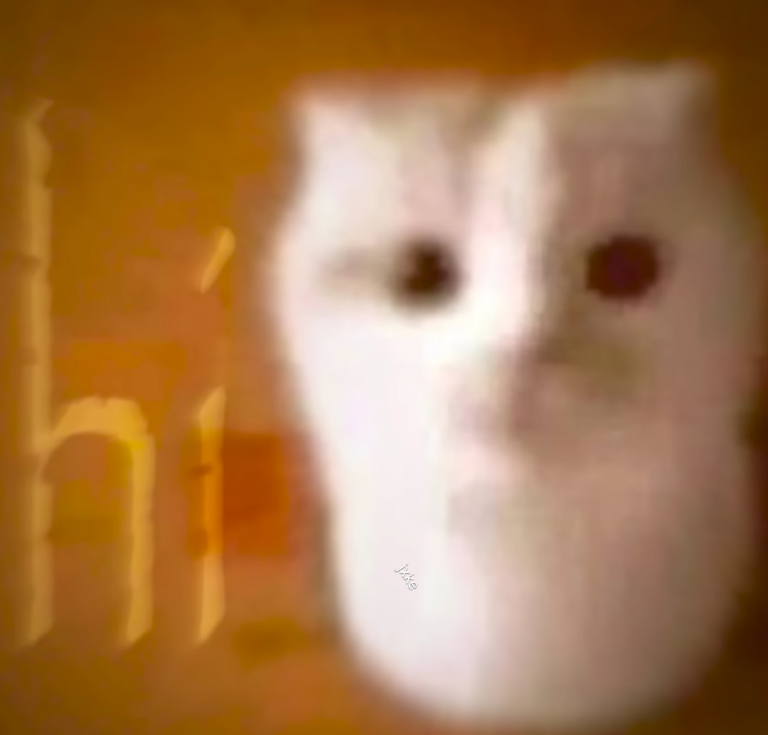 cat hi Discord sticker