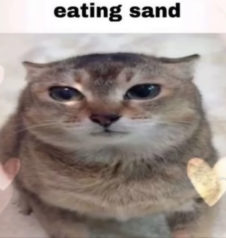 eatting sand Discord sticker