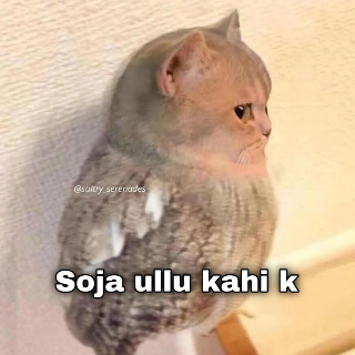 Soja ullu Discord sticker