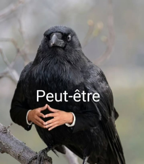 nsayem_france_rien Discord sticker