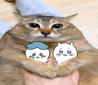 Chiikawacat  Discord sticker