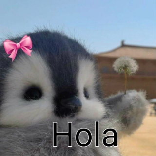 Holaap || .gg/amiguitos Discord sticker