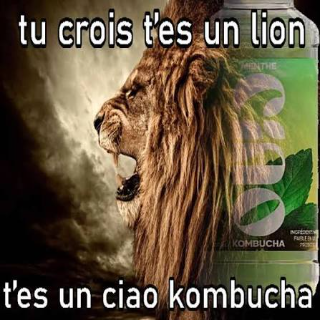 tu crois t'es un lion?