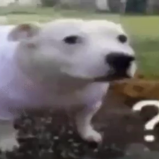 what??