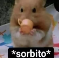xD sorbito