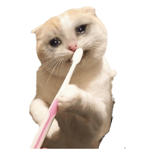Cat Brushing Teeth Discord sticker