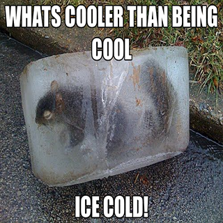 Ice Cold! Discord sticker