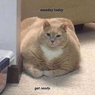 It's Weaday! Get Ready. Discord sticker
