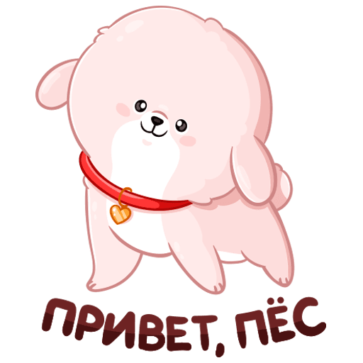 привет, пёс